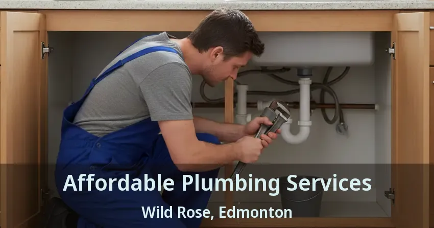 Affordable Plumbing Services Wild Rose, Edmonton - AB