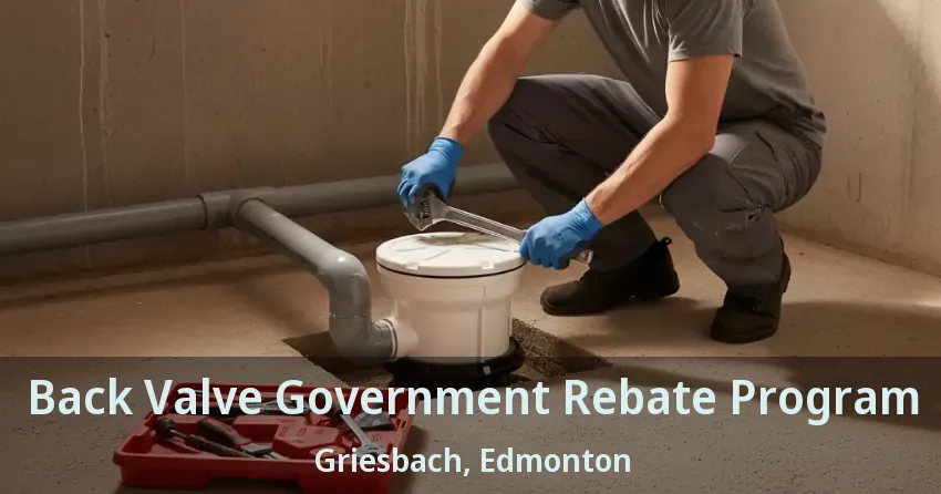 Back Valve Government Rebate Program Griesbach, Edmonton - AB
