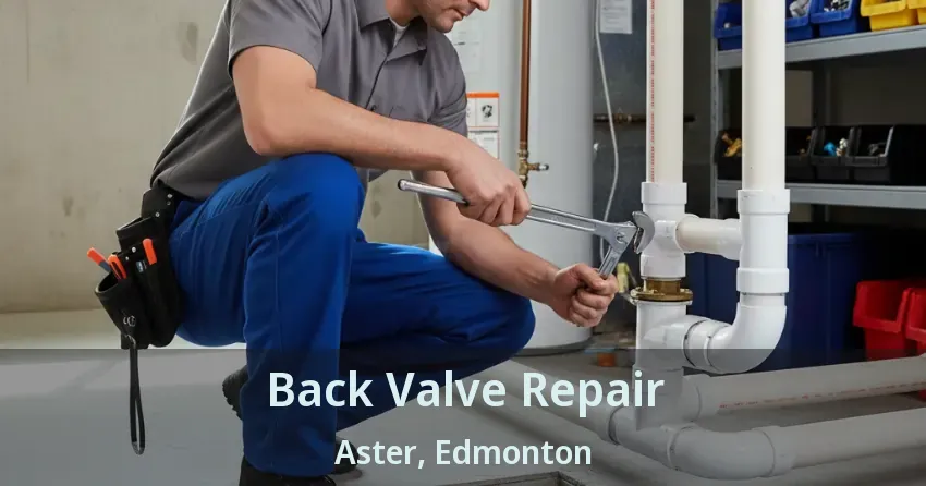 Back Valve Repair Aster, Edmonton - AB