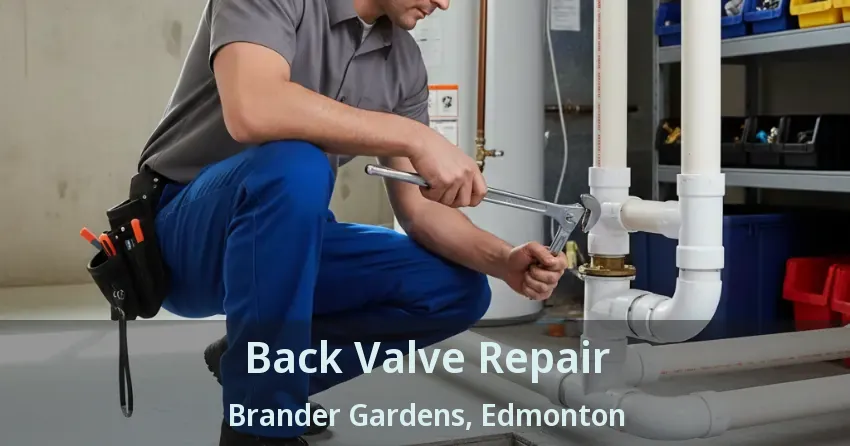 Back Valve Repair Brander Gardens, Edmonton - AB