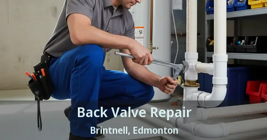 Back Valve Repair Brintnell, Edmonton - AB