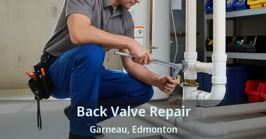 Back Valve Repair Garneau, Edmonton - AB