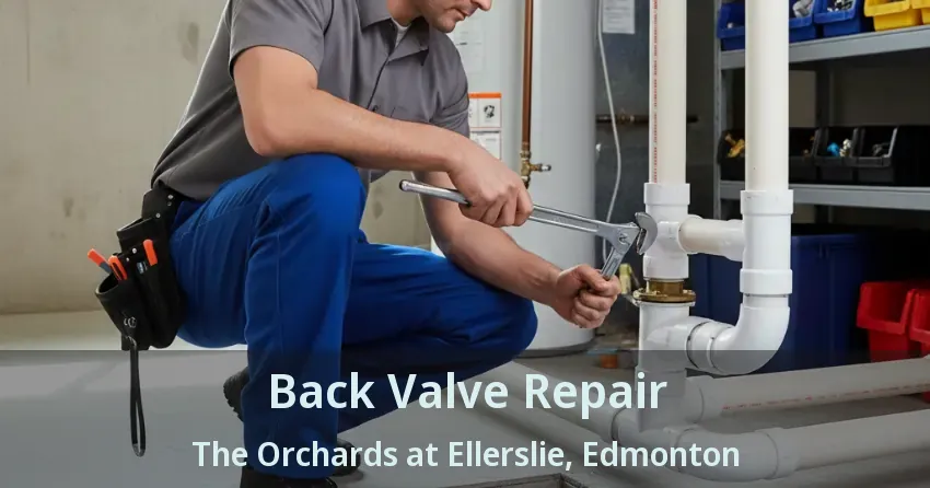 Back Valve Repair The Orchards at Ellerslie, Edmonton - AB