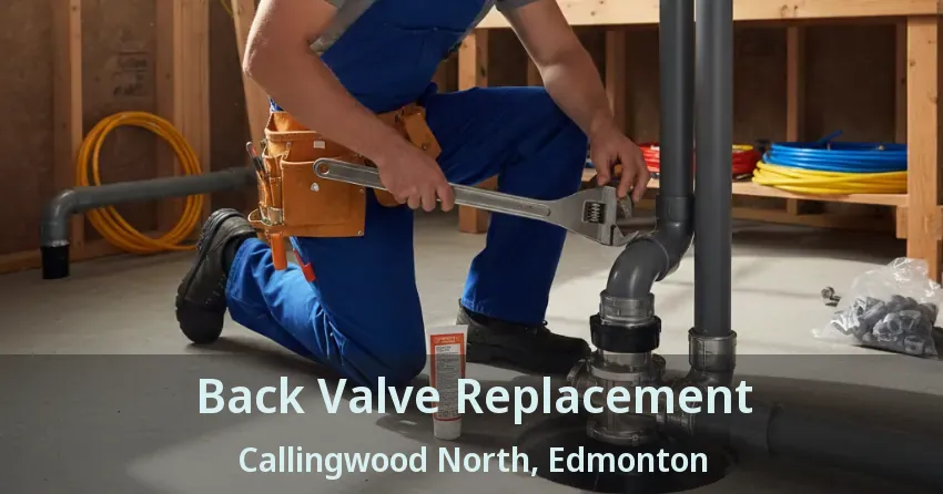 Back Valve Replacement Callingwood North, Edmonton - AB