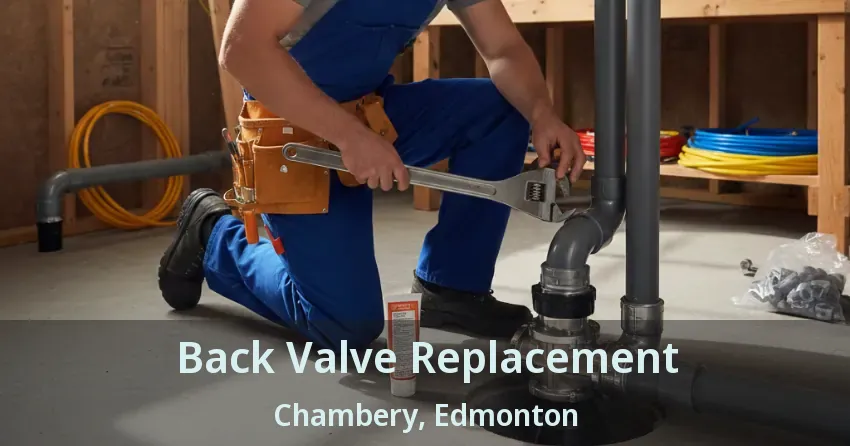 Back Valve Replacement Chambery, Edmonton - AB