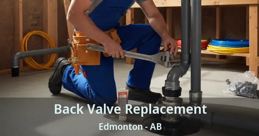 Back Valve Replacement Edmonton - AB