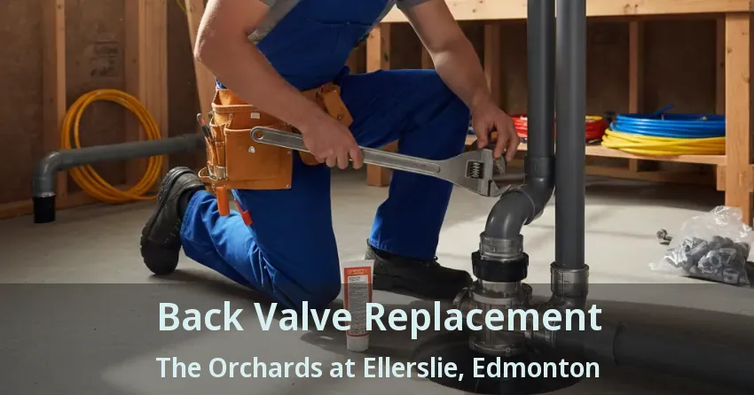 Back Valve Replacement The Orchards at Ellerslie, Edmonton - AB
