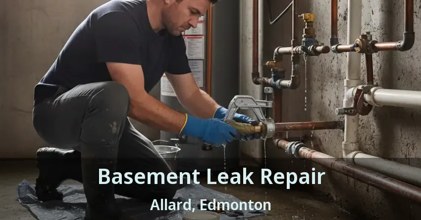 Basement Leak Repair Allard, Edmonton - AB