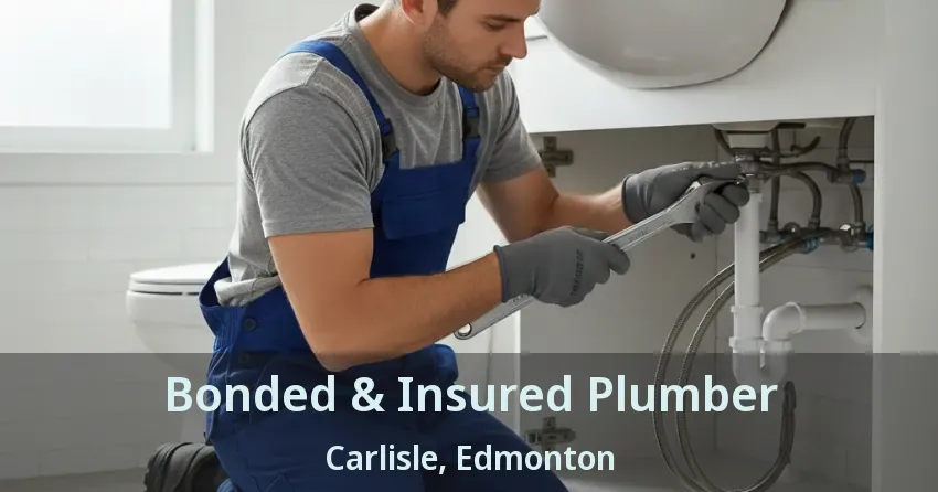 Bonded & Insured Plumber Carlisle, Edmonton - AB