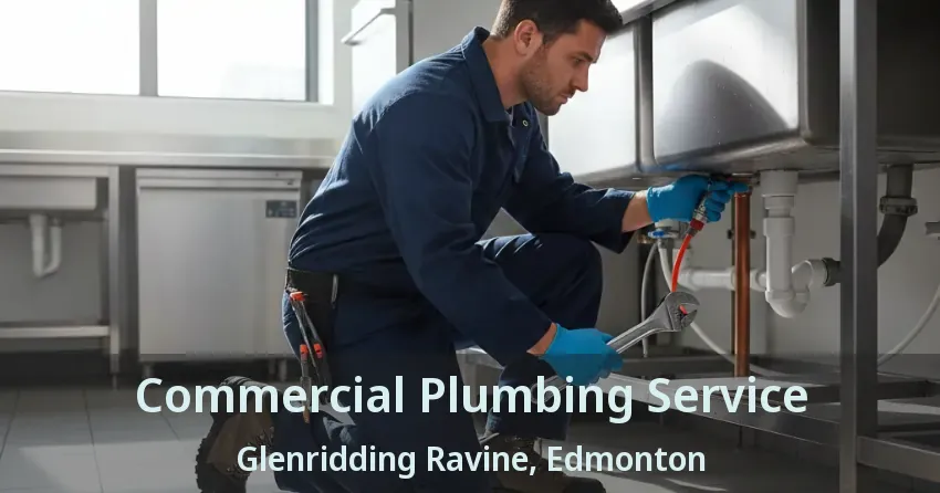Commercial Plumbing Service Glenridding Ravine, Edmonton - AB
