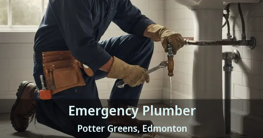 Emergency Plumber Potter Greens, Edmonton - AB
