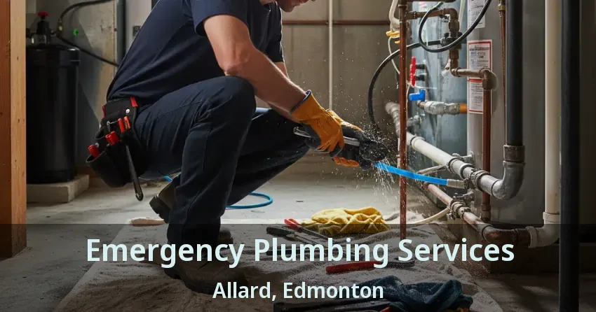 Emergency Plumbing Services Allard, Edmonton - AB