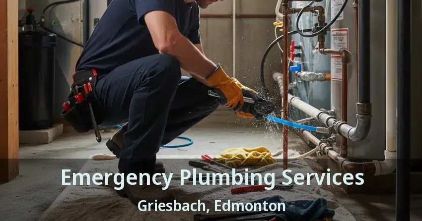 Emergency Plumbing Services Griesbach, Edmonton - AB