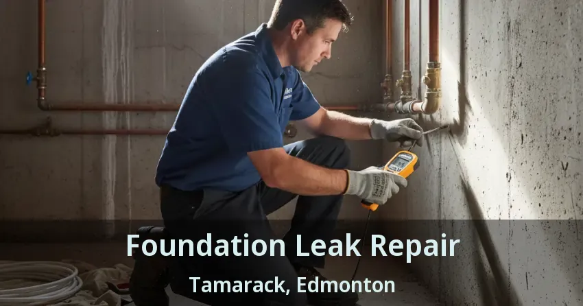 Foundation Leak Repair Tamarack, Edmonton - AB
