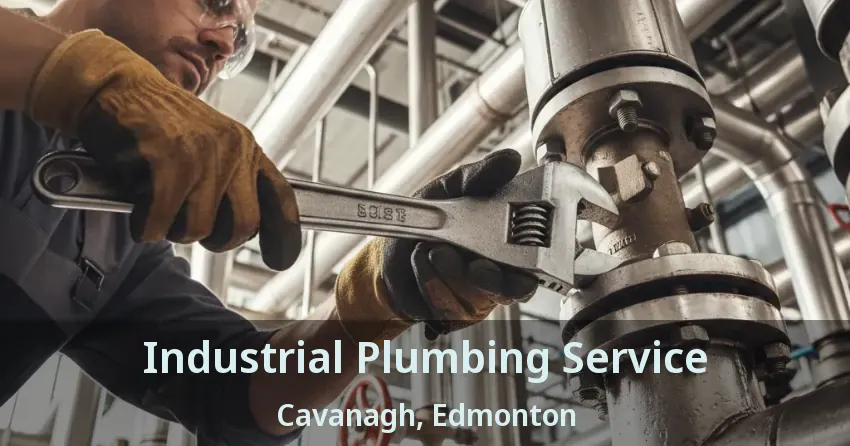 Industrial Plumbing Service Cavanagh, Edmonton - AB