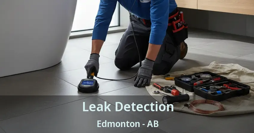 Leak Detection Edmonton - AB