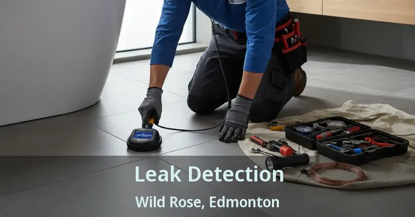 Leak Detection Wild Rose, Edmonton - AB