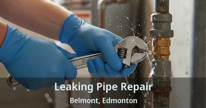 Leaking Pipe Repair Belmont, Edmonton - AB