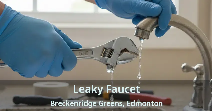 Leaky Faucet Breckenridge Greens, Edmonton - AB
