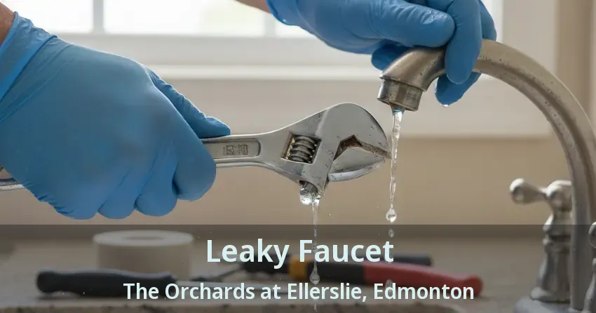 Leaky Faucet The Orchards at Ellerslie, Edmonton - AB