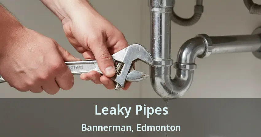 Leaky Pipes Bannerman, Edmonton - AB