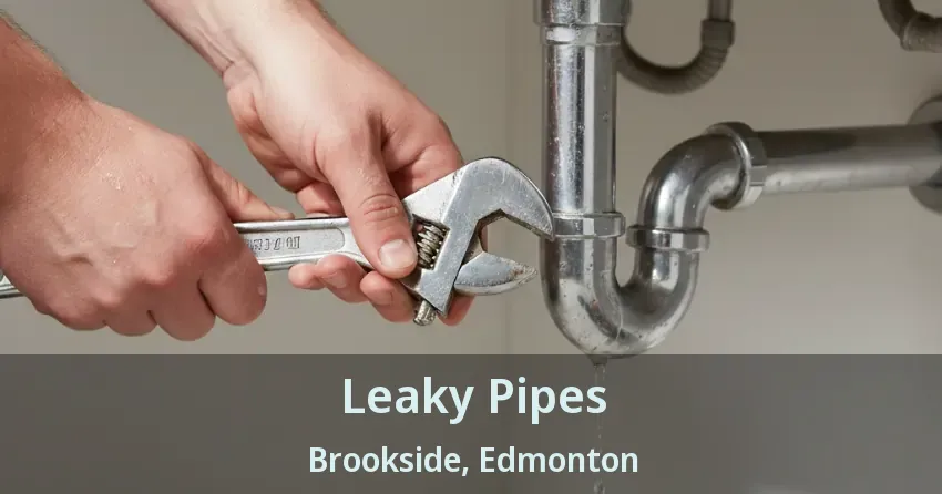 Leaky Pipes Brookside, Edmonton - AB