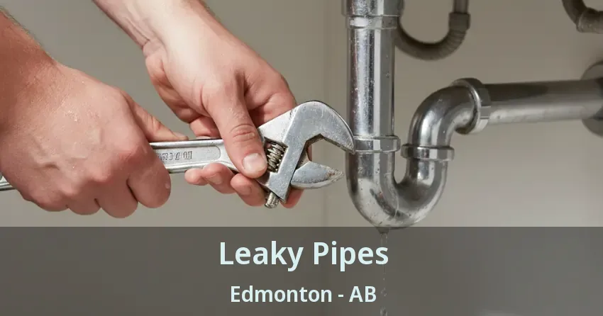 Leaky Pipes Edmonton - AB