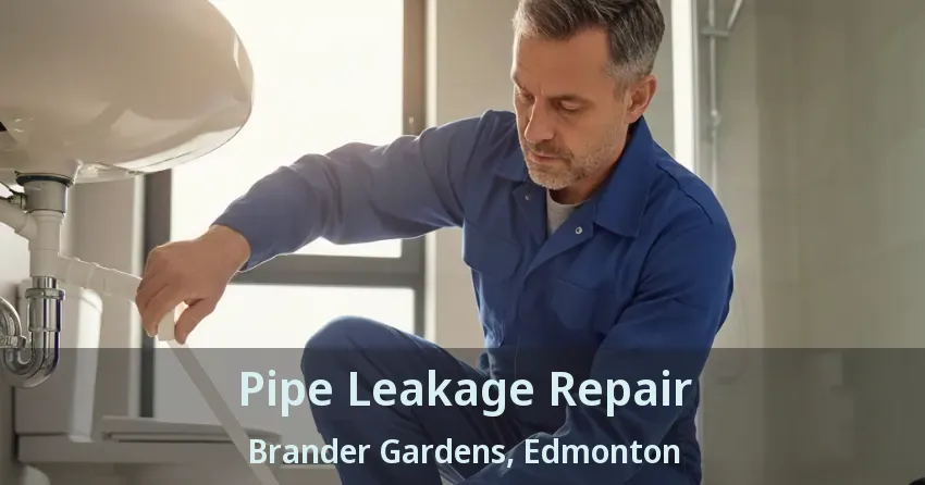 Pipe Leakage Repair Brander Gardens, Edmonton - AB