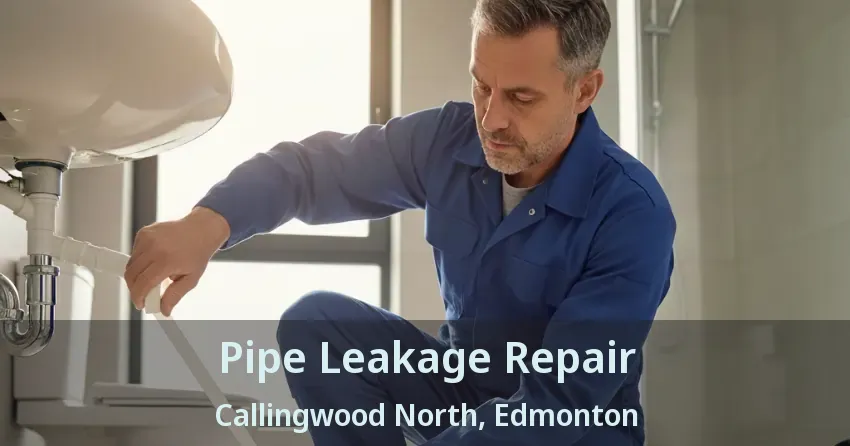Pipe Leakage Repair Callingwood North, Edmonton - AB