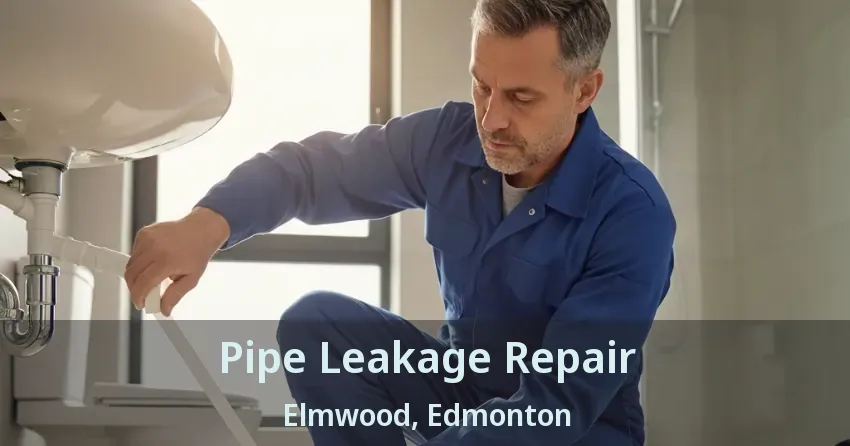 Pipe Leakage Repair Elmwood, Edmonton - AB