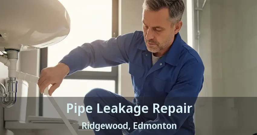 Pipe Leakage Repair Ridgewood, Edmonton - AB