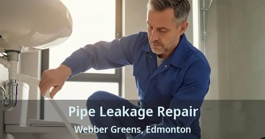Pipe Leakage Repair Webber Greens, Edmonton - AB