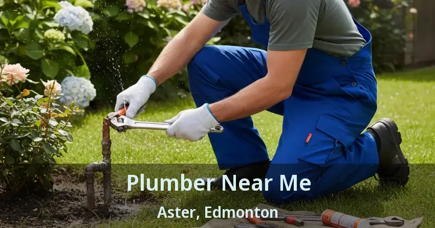 Plumber Near Me Aster, Edmonton - AB