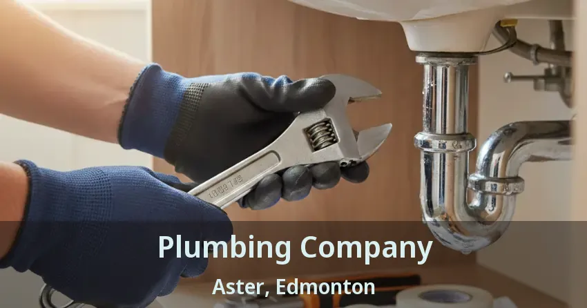 Plumbing Company Aster, Edmonton - AB