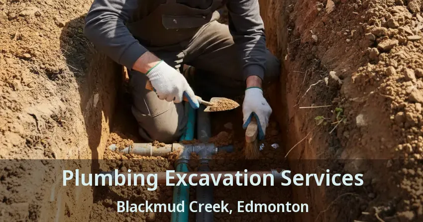 Plumbing Excavation Services Blackmud Creek, Edmonton - AB