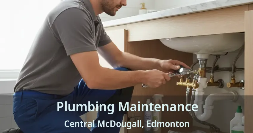 Plumbing Maintenance Central McDougall, Edmonton - AB