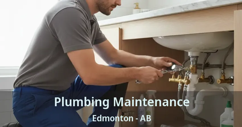 Plumbing Maintenance Edmonton - AB