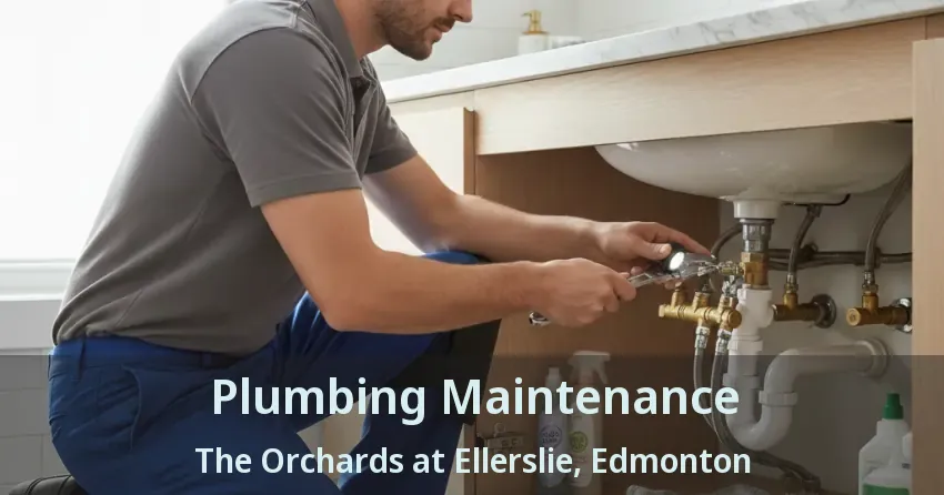 Plumbing Maintenance The Orchards at Ellerslie, Edmonton - AB