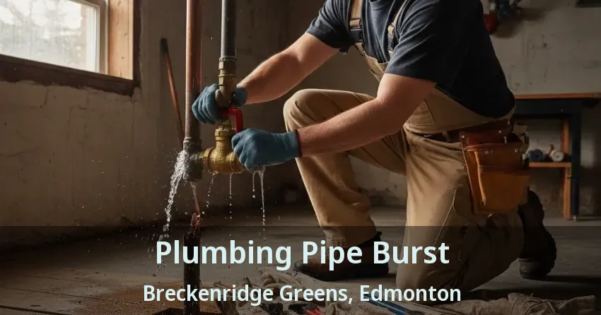 Plumbing Pipe Burst Breckenridge Greens, Edmonton - AB