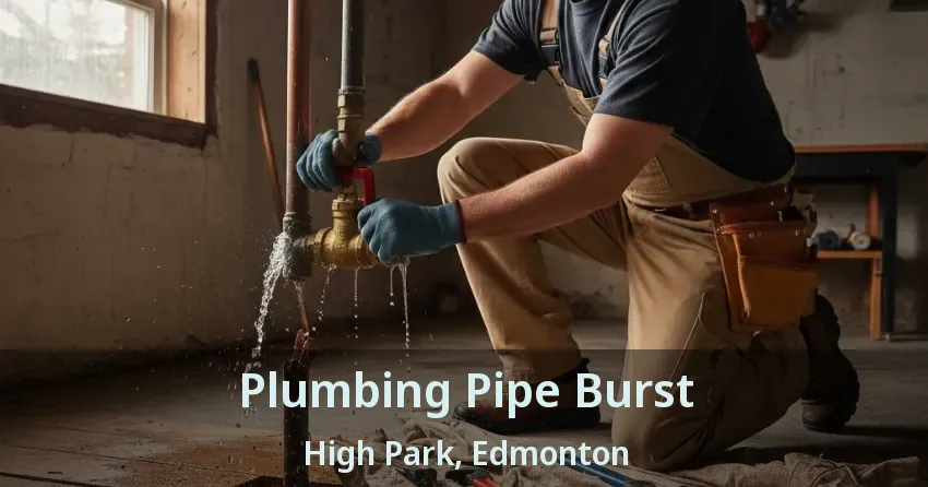 Plumbing Pipe Burst High Park, Edmonton - AB