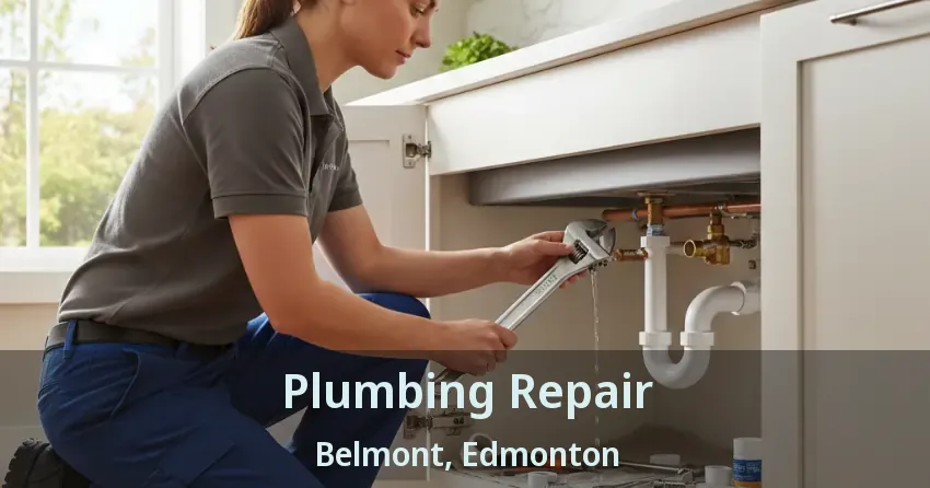 Plumbing Repair Belmont, Edmonton - AB
