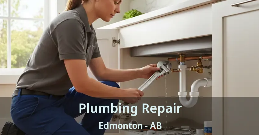 Plumbing Repair Edmonton - AB