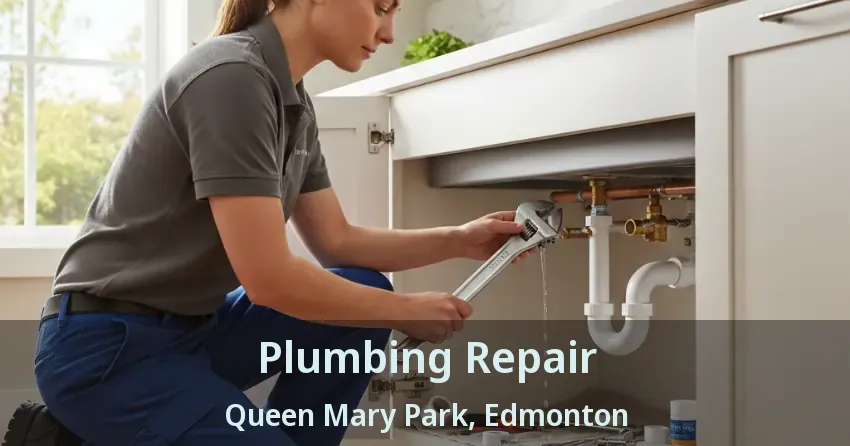 Plumbing Repair Queen Mary Park, Edmonton - AB