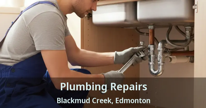 Plumbing Repairs Blackmud Creek, Edmonton - AB