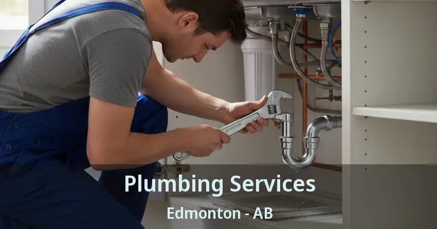 Plumbing Services Edmonton - AB