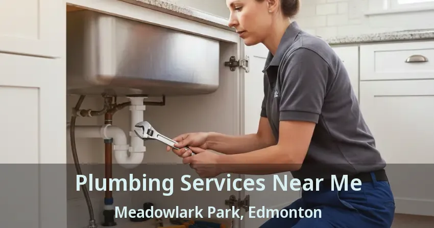 Plumbing Services Near Me Meadowlark Park, Edmonton - AB