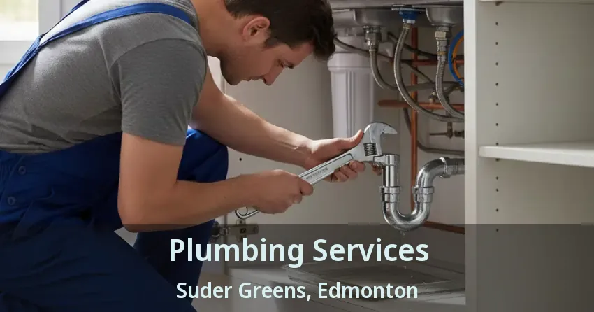 Plumbing Services Suder Greens, Edmonton - AB
