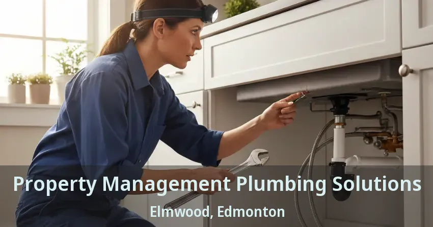 Property Management Plumbing Solutions Elmwood, Edmonton - AB