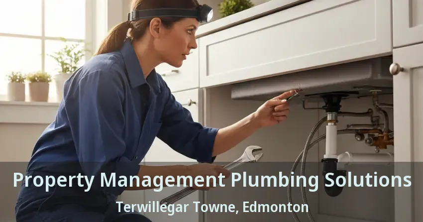 Property Management Plumbing Solutions Terwillegar Towne, Edmonton - AB