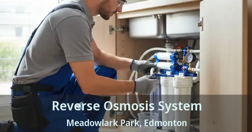 Reverse Osmosis System Meadowlark Park, Edmonton - AB